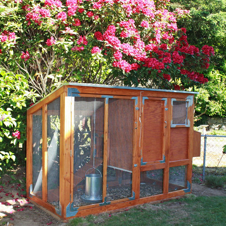 Bloomin' Chicken Coop | Seattle Sundries